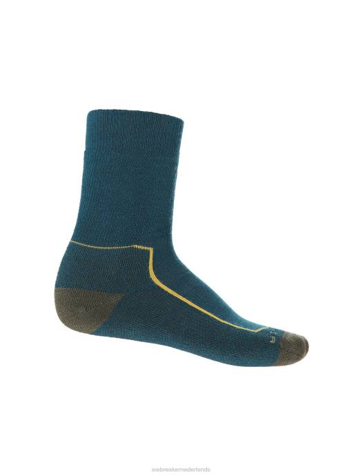 Icebreaker Heren Merino Hike+ medium ronde sokkengroene glorie/loden XXNJ261 accessoires