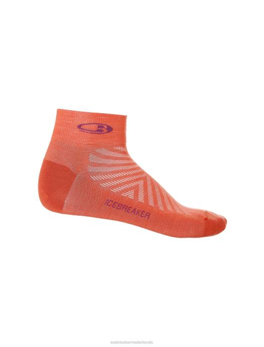 Icebreaker Heren merino run+ ultralichte minisokkenlevendige aardheide/gobes XXNJ278 accessoires