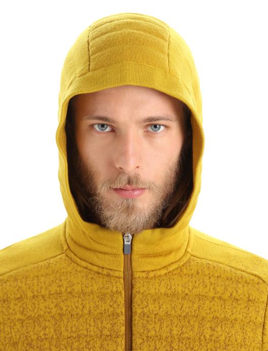 Icebreaker Heren zoneknit merino geïsoleerde hoodie met lange mouwen en rits in de dieptekruidnagel/stil goud XXNJ404 kleding