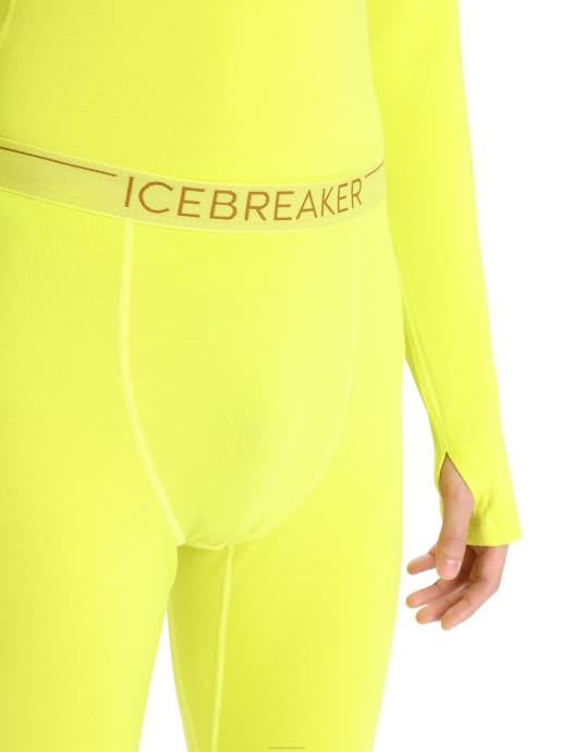 Icebreaker Heren 300 merinofine thermische leggingsschijnen XXNJ441 kleding