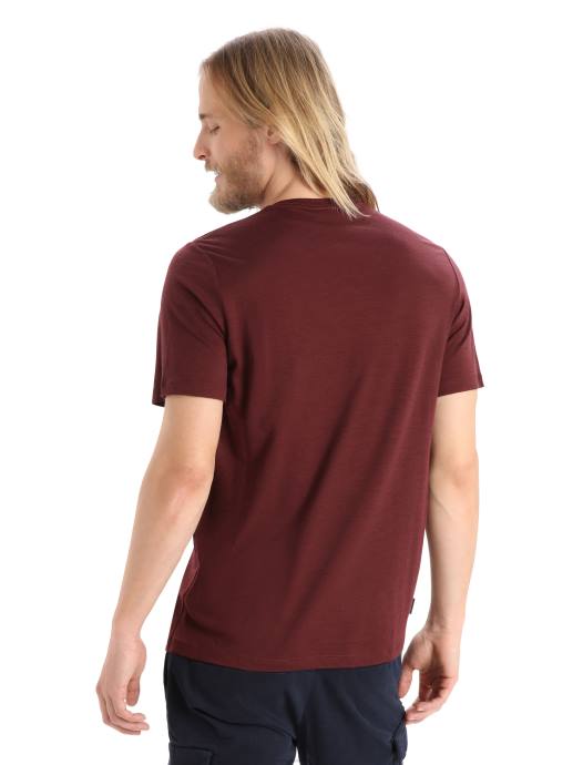 Icebreaker Heren merino tech lite ii T-shirt met korte mouwen naturel alpenespresso XXNJ368 kleding