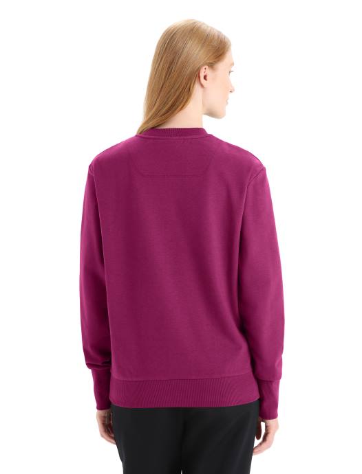 Icebreaker vrouwen merino central ii sweatshirt met lange mouwenga bes XXNJ705 kleding