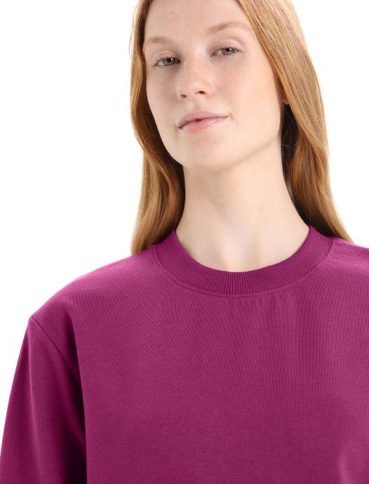 Icebreaker vrouwen merino central ii sweatshirt met lange mouwenga bes XXNJ705 kleding