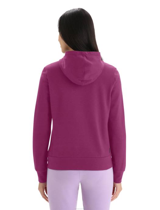 Icebreaker vrouwen merino centrale klassieke hoodie met lange mouwen en ritsga bes XXNJ702 kleding