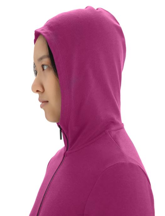 Icebreaker vrouwen merino centrale klassieke hoodie met lange mouwen en ritsga bes XXNJ702 kleding