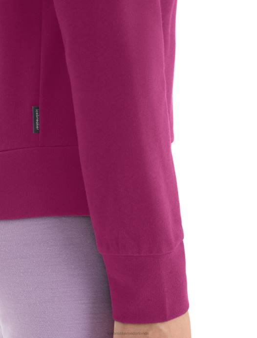 Icebreaker vrouwen merino centrale klassieke hoodie met lange mouwen en ritsga bes XXNJ702 kleding