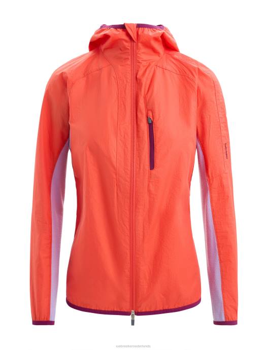 Icebreaker vrouwen shell+ windjack van merinokatoenlevendige aarde/paarse blik XXNJ680 kleding