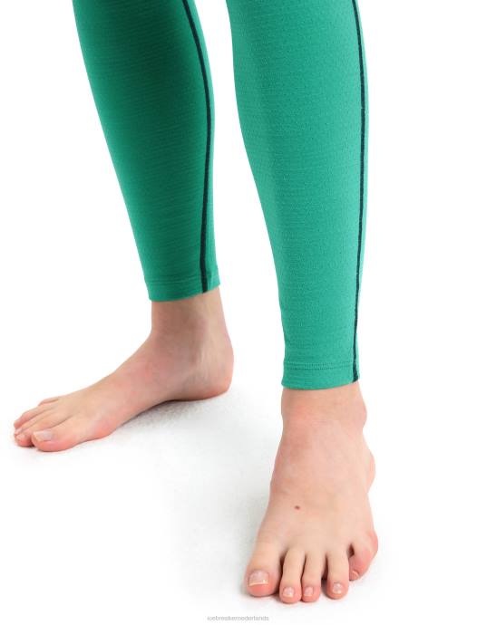 Icebreaker vrouwen 200 zoneknit thermische legging van merinowolgroene glorie/fris XXNJ583 kleding