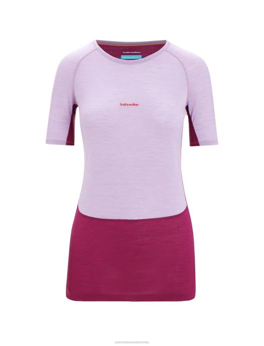 Icebreaker vrouwen 125 zoneknit merino thermotop met korte mouwen en ronde halspaarse blik/go berry XXNJ589 kleding