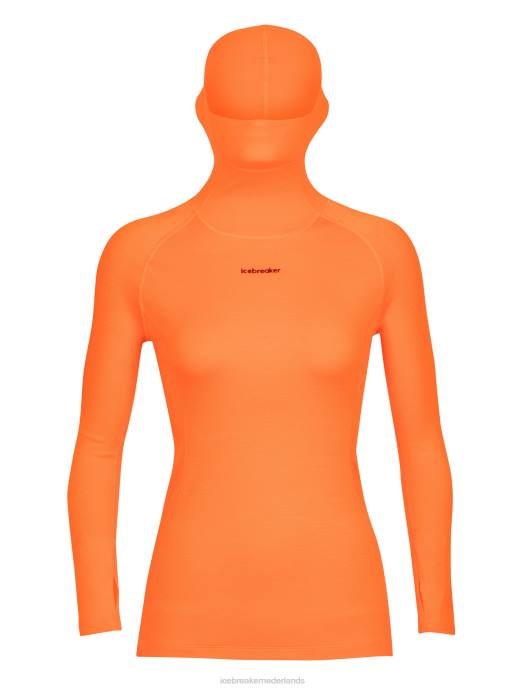 Icebreaker vrouwen 300 merinofine thermische top met lange mouwen en colflash XXNJ880 kleding