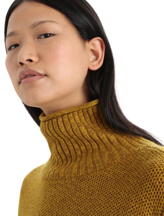 Icebreaker vrouwen merino seevista trui met trechterhalskruidnagel/stil goud XXNJ908 kleding